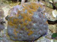 P1020693 (Small).JPG