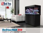 Red Sea Max 250.jpg