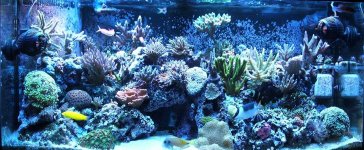 EDITED WALLPAPER 1109.JPG