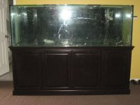 325 gal tank 006.jpg