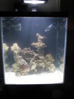 IMG_0007.jpg
