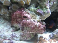 IMG_0314.jpg