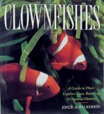 Clownfish.jpg
