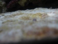 IMG_0315.jpg