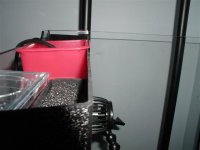 Phone Pics 024 (Small).jpg