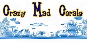 cmc new1.jpg