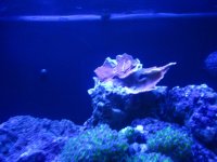 IMG_0575.jpg