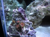 IMG_0582.jpg