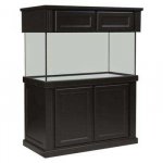 Monterey Espresso.jpg