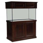 Monterey Red Oak.jpg