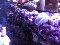 IMG_0059.jpg
