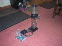 skimmer 005.jpg