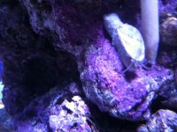 IMG_0060.jpg