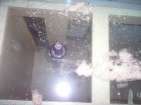 Oceanic 75 G Tank & Stand& Glass Canopy 006.jpg