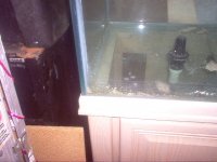 Oceanic 75 G Tank & Stand& Glass Canopy 008.jpg