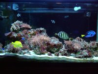 DSCF0616.JPG