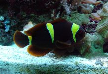 DSCF0551.JPG