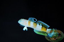 DSC_0017.JPG