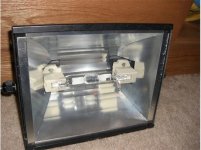 macro shots 062 544x406.jpg