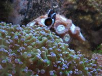 IMG_0481.JPG