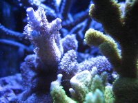IMG_2653.jpg