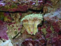 100104dmikes fish 007.jpg