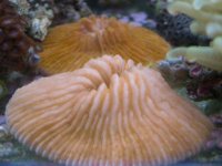 JAn 14 2006 010.jpg