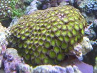 JAn 14 2006 015.jpg