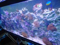 PICT0943.JPG
