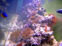 PICT0941.JPG