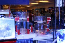 IMG_9272.jpg