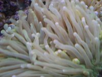 JAn 14 2006 021.jpg