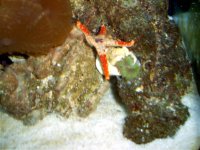 April 15, 2007 Frag Swap frags 017.jpg