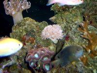 April 15, 2007 Frag Swap frags 022.jpg