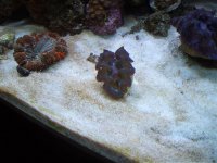 April 15, 2007 Frag Swap frags 024.jpg