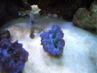 April 15, 2007 Frag Swap frags 025.jpg