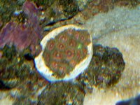 April 15, 2007 Frag Swap frags 027.jpg