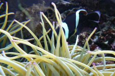 Shireen's Birthday 022.jpg