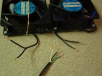 fish 022.jpg