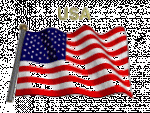 FLAG USA 2.gif