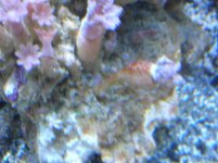 DSCN6305.jpg