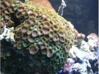 for sale 017 544x406.jpg