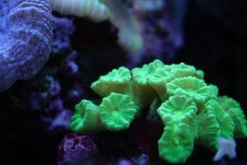 IMG_6105.jpg