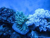 IMG_1297.jpg