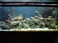 DSCN1007.jpg