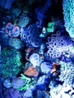 IMG_0058.jpg