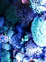 IMG_0059.jpg
