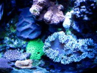 IMG_0036.jpg