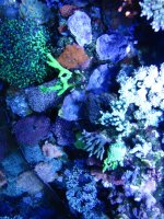 IMG_0056.JPG