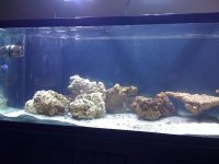 IMG_0033.jpg
